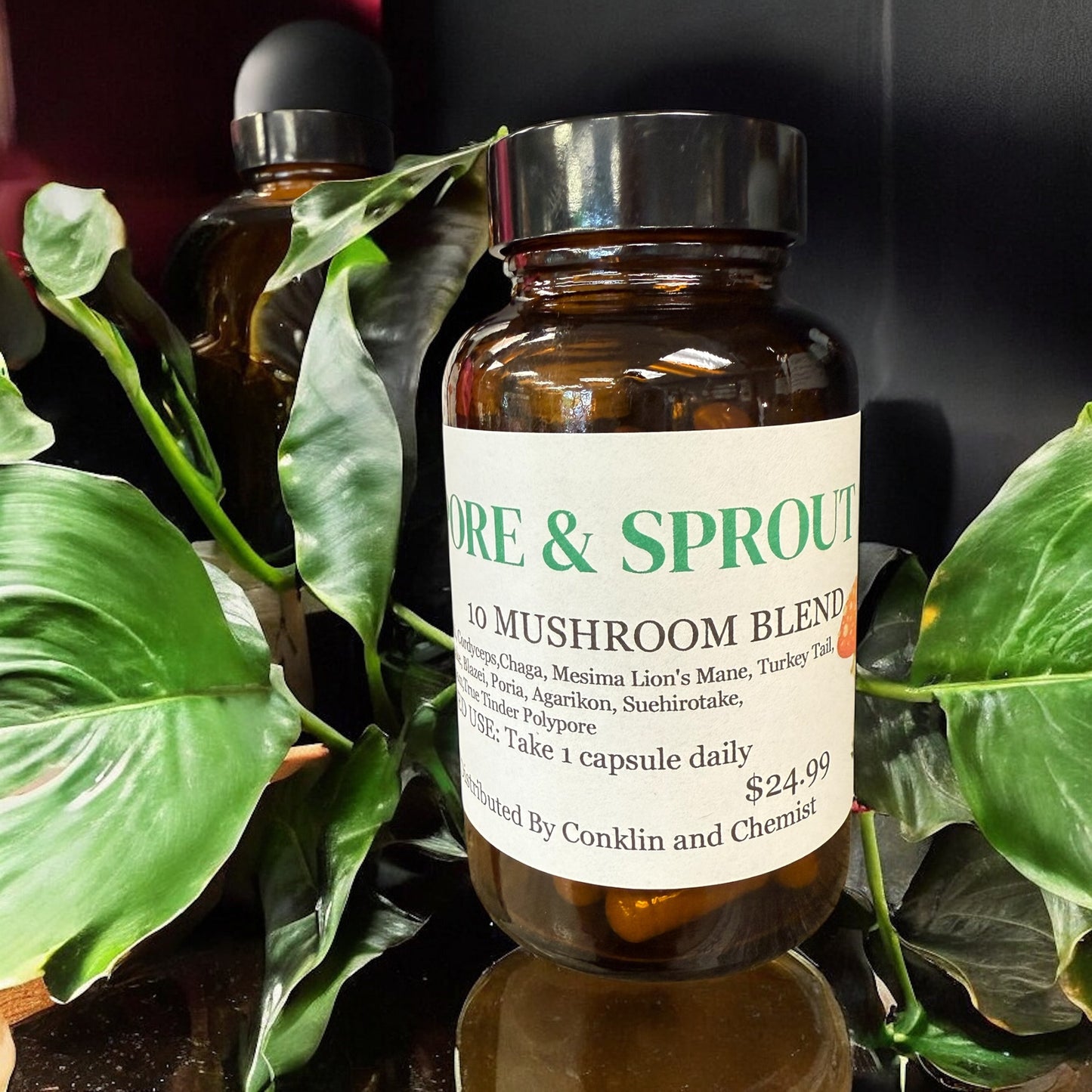 10 Blend Mushroom Capsules