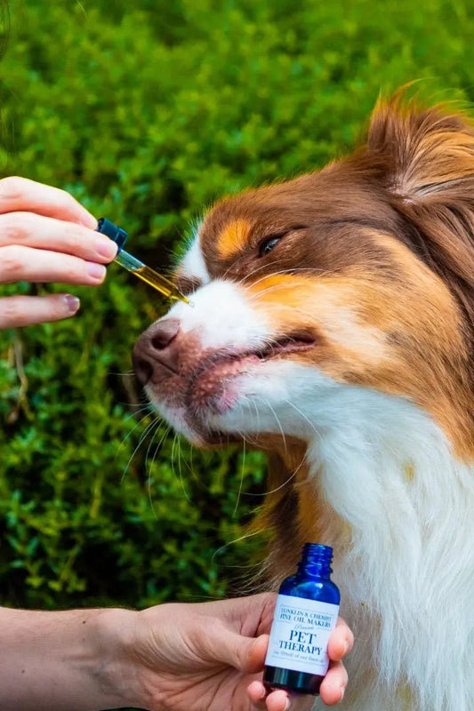 Pet Therapy CBD Oil - CONKLIN & CHEMIST