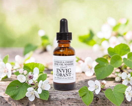 Conklin & Chemist | Day & Night Wellness Oil Bundle