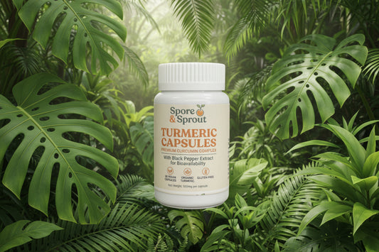 Premium Turmeric for Everyday Wellness