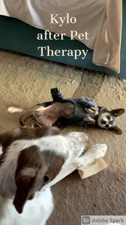 Pet Therapy Oil